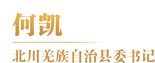 何凯 北川县委书记