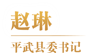 赵琳 平武县委书记