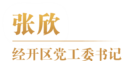 张欣 经开区党工委书记