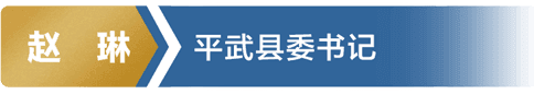 赵琳 平武县委书记